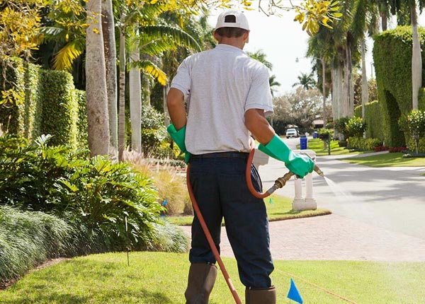 About Milltown IN Pest Control